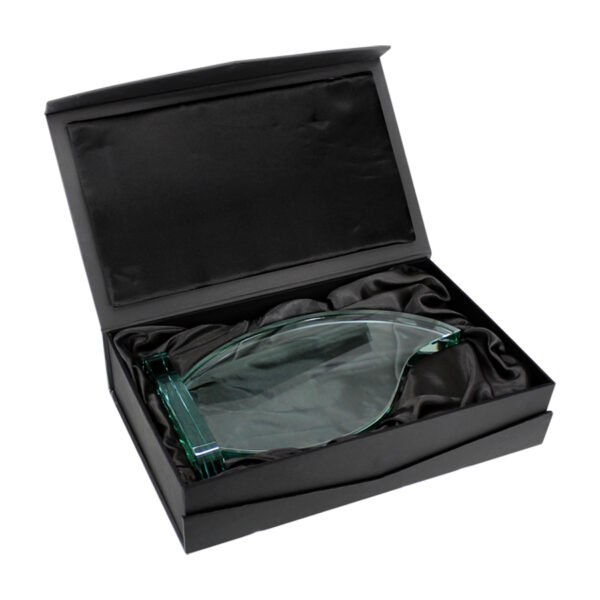 Trofeo Flame - Imagen 3